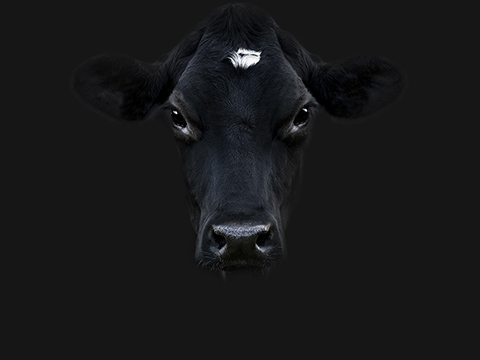 Varumärke är mycket mer än en logotyp.